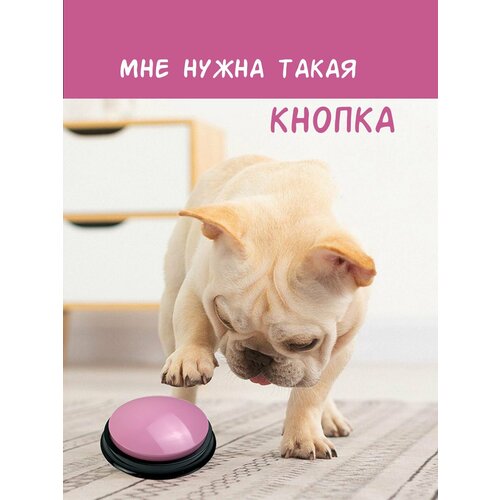 ���� ������ ��� ����������� �����, � ������� ������/ ������ ��� ����������� �������� ��������, ������� ��� ����� � ������, �������, ������ ������