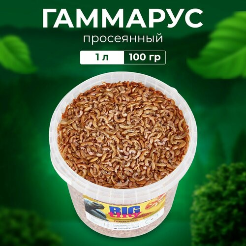 ���� ���� ��� �������� ����������, �������� ����� ��� ������� ������, ��������� ��� �������� � ����� �����������, ������ ������