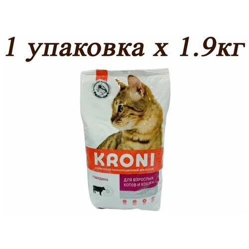      Kroni 1.9  2    -     , -,   