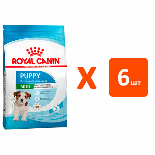  ROYAL CANIN MINI PUPPY     (2   6 )   -     , -  