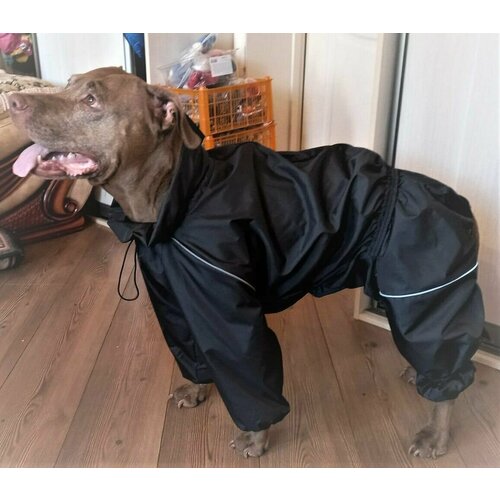 ���� ������ ���������� ��� ������ ������� ������ ������ : 7XL ������ �� ������ 80, ����� ��� 64-77 (������������), ����� ����� 105(������������), ������ ������