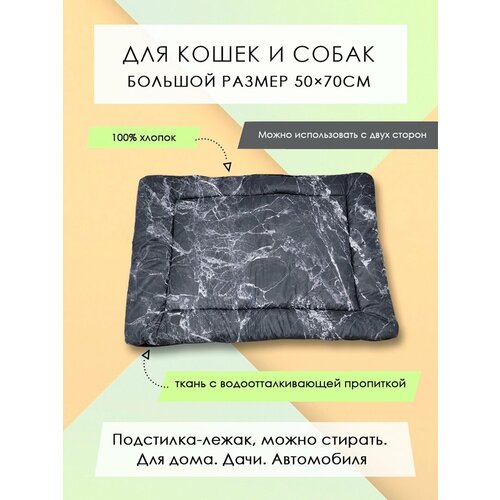 ���� ���������-����� ��� �����/����� 