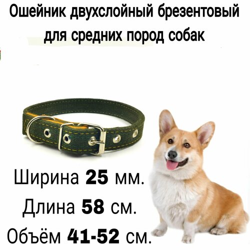 ���� ������� ����������� ����������� ��� ����� ������� ����� � ������. ������ 25 ��, ����� 58 ��, ����� ��� 41-52 ��., ������ ������