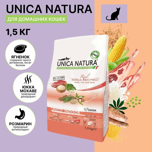      Unica Natura Indoor    , 1,5 .   -     , -  