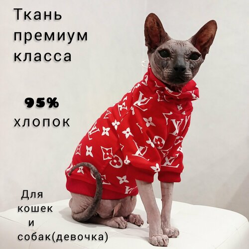 ���� ��������� ��� ����� � ����� ������ �����, ������ ������