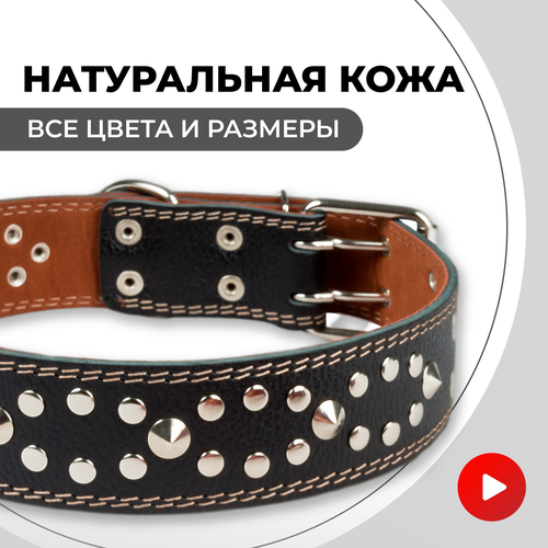 ���� ������� ������� ��� ������� �����, ��� ������� ����� �������, ������ ������