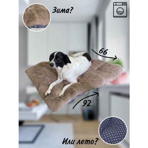 ���� �������-������ ���� ���� ��� ������� � ������� �����, ������ L 92 � 66, ����������, ������ ������