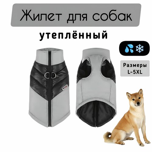 ���� ����� ���������� ������ ������ ��� �����, �����, 5XL, ������ ������