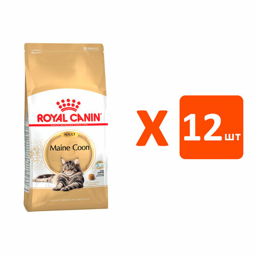  ROYAL CANIN MAINE COON ADULT      (0,4   12 )   -     , -  