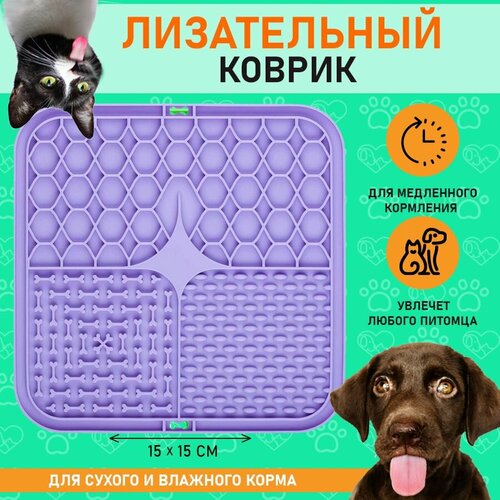 ���� ����������� ������ ��� ����� � �����, ������ ��� ���������� ���������, ������ ������