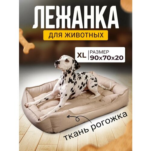 ���� ������� ��� ����� � ����� ������� � ��������� � ��������, ������ ������