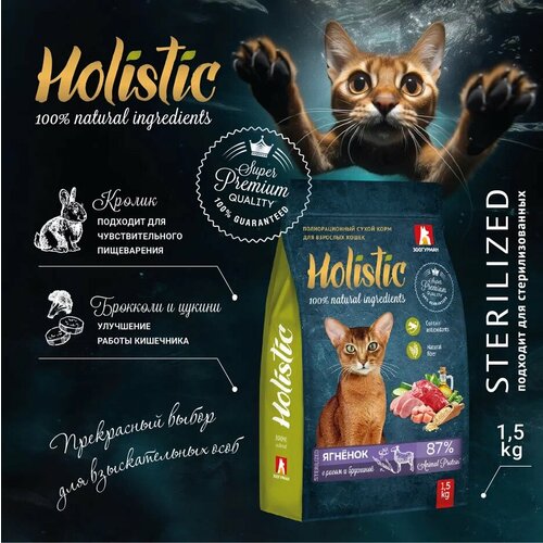        , Holistic      1,5    -     , -  