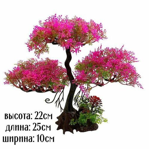 ���� ��������� ��� ��������� ������������� ������ �����������, ����������, �����������, ����������, ������ ������