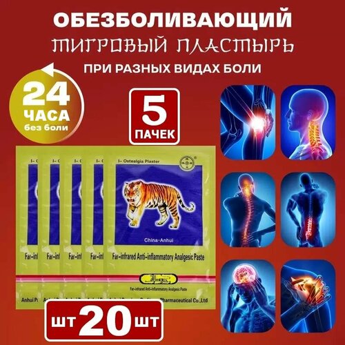 ���� �������� �������� - �������������� ������������� �������� � �������� ����� �����, 20 ����, ������ ������