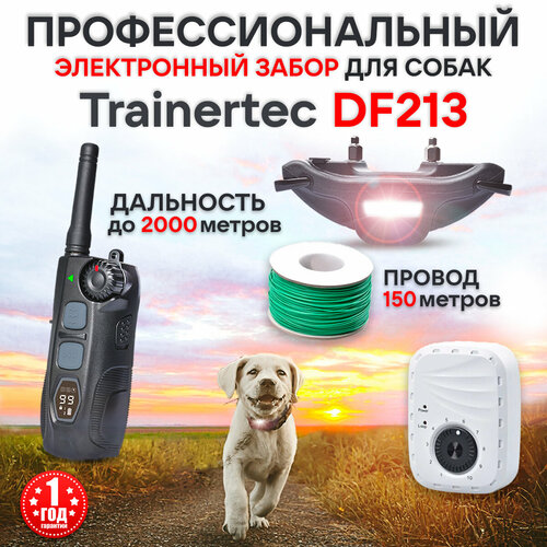       Trainertec DF213   -     , -  