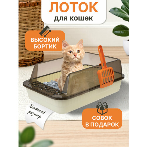 ���� ����� ��� ����� � �������� �������, ������ ������