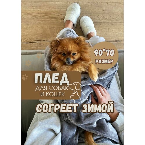 ���� ���� (������, ���������, ���������, �������) ��� ��������, �����, �����, ������ ������