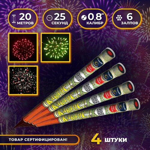 ���� ������� ����� 