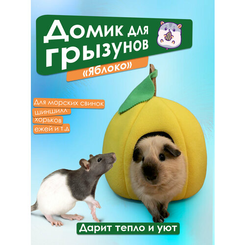 ���� ����� ��� �������� 