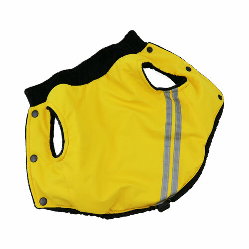 ���� ���������� �� ���� ��� ����� ������ �����, ������ ������