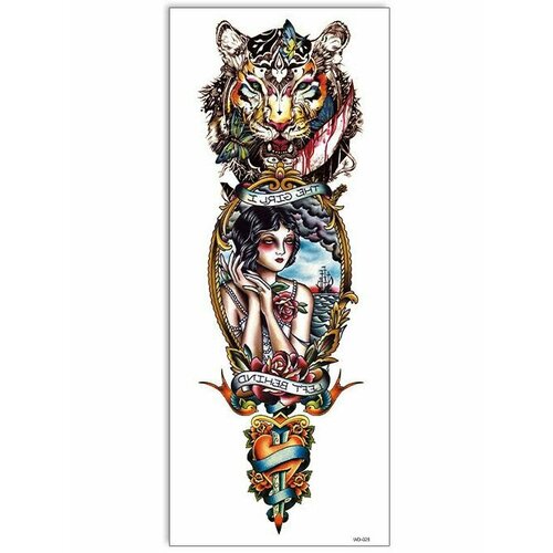 ���� ���������� ��������� ���� ����� �� �������� / 43 � 15 �� ����, ������ ������