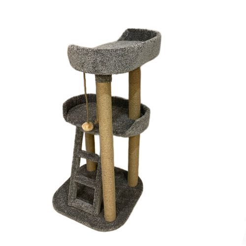 ���� ���������� ��� ����� � ��������� ��� ���� 