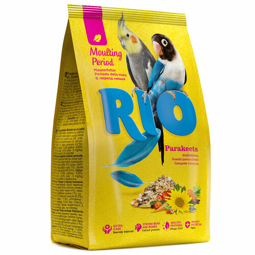  RIO       ,  1 *4    -     , -  