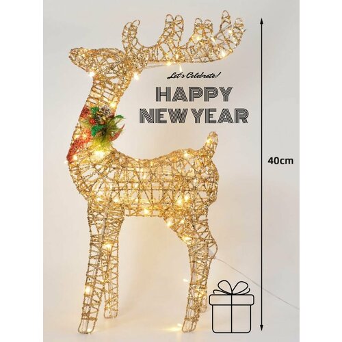 ���� ���������� ����� ���� ������ 40 ��, ������ ������