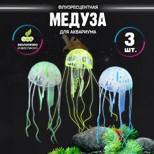 ���� ���������� ������, ����� ��� ���������, 3 �����, ������ ������