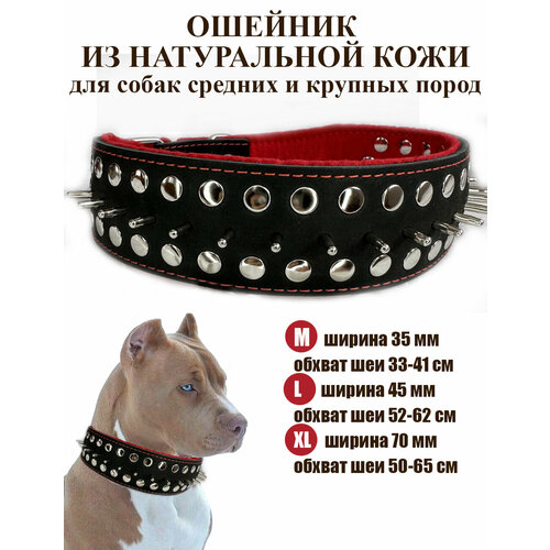       Dober-    36-42    -     , -  