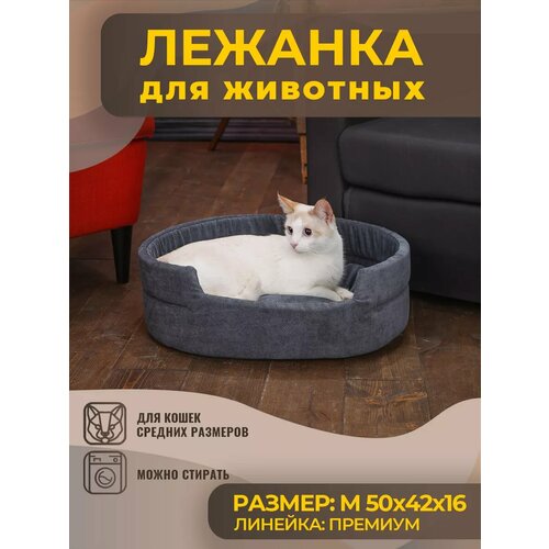 ���� ������� ��� ����� � ����� �������, �����, ������ ������