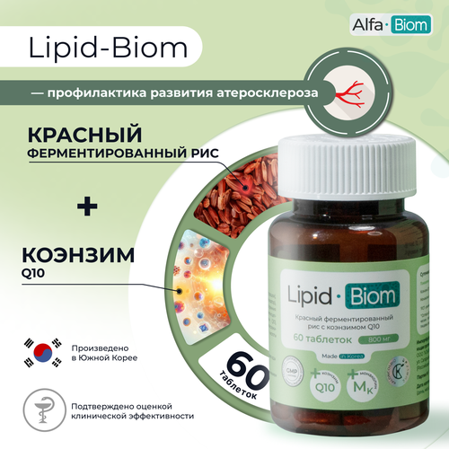 ���� ������� ���������������� ��� 