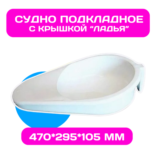 ���� ����� ���������� ���������� �����, ������ ������