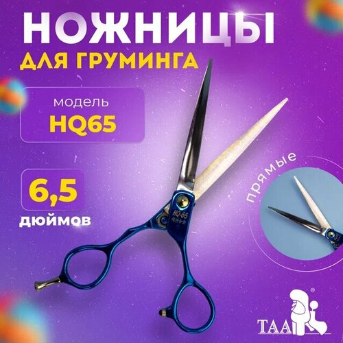  TAA     6.5 HQ65 blue ,       -     , -  