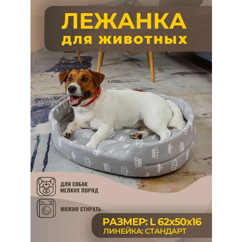 ���� ����� ��� ����� � ����� ������� �����, ����, ������ ������