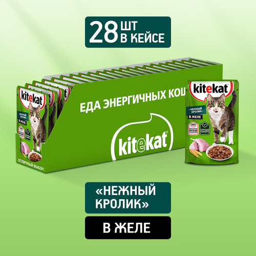    KITEKAT         , 28   85   -     , -  