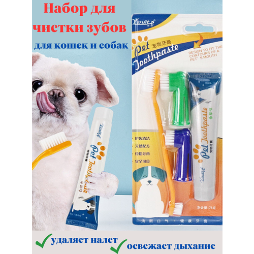 ���� ������ ����� � ����� ��� �������� ��������, ������ ������