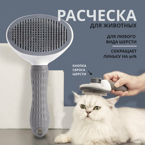 ���� �������, ��������� ��� ������ � �������, ����� ��� ����������� ����� � �����, ������ ������