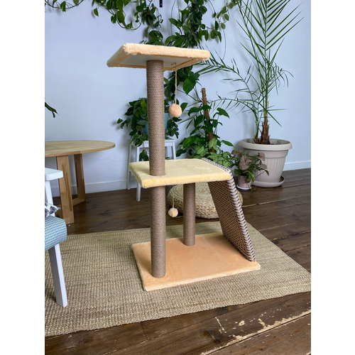 ���� ���������� ��� ����� ����� ����� � �����, ����������, ������ ������