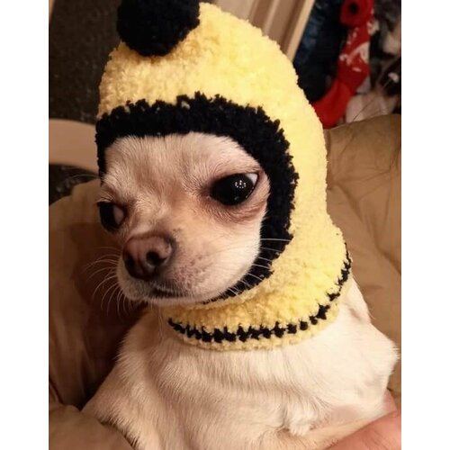 ���� ����� ��� ������� ������ : XS, ������ ������