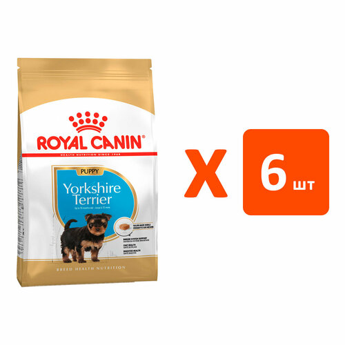  ROYAL CANIN YORKSHIRE TERRIER PUPPY     (1,5   6 )   -     , -  