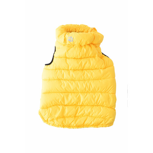 ���� ������� ��� ����� (�����, ����, �����) Pride, ���� ������, ������ M, ������ ������