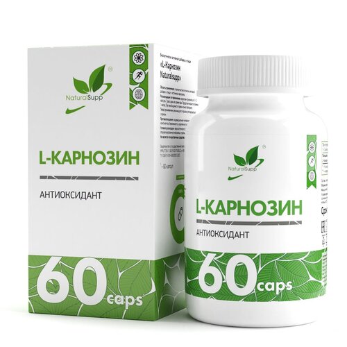   NaturalSupp L-Carnosine, 100 , 500 , 60 .   -     , -  