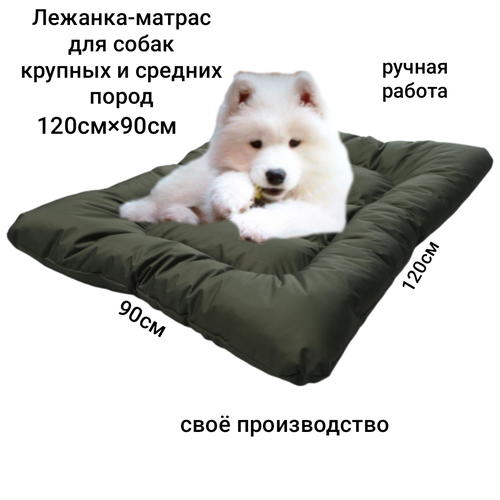 ���� ������� ��� ������� � ������� ����� �����, ������ ������