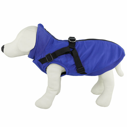 ���� �������/����� ��� �����, ������ ��� �����, 