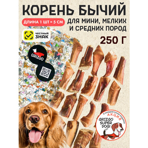 ���� ������ ����� XS 250�����, ������ ������