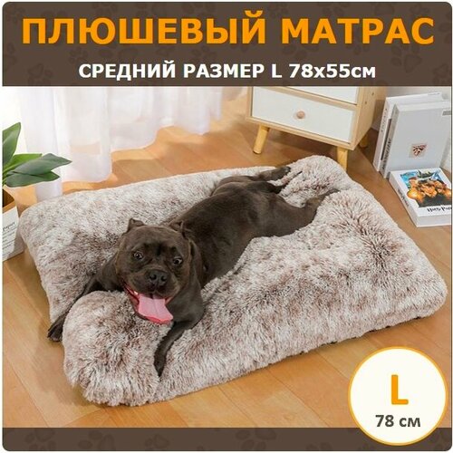 ���� �������� ������� ��� ����� ������� ����� L (78�55 ��) ���� �������� ��������, ������ ������