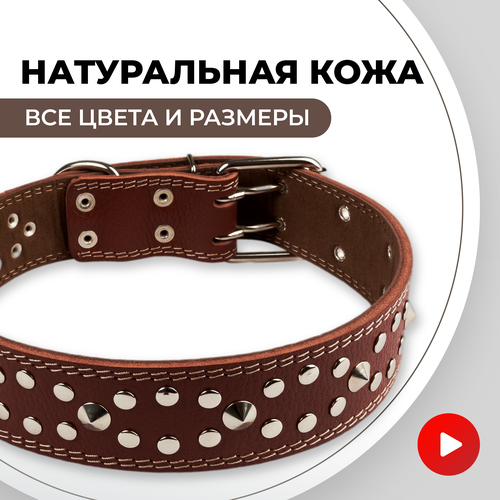 ���� ������� ������� ��� ������� �����, ��� ������� ����� �������, ������ ������