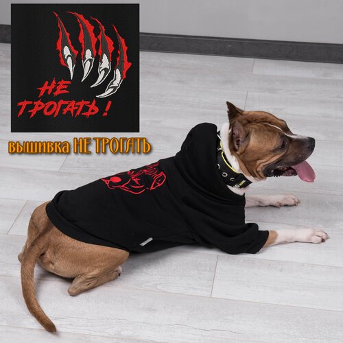 ���� ������ ��� ����� � �������� �� ������� �� DOGTON ������� � ������� �����. ����� � ������� � ��������� ��� �������� � ��������. ������ 