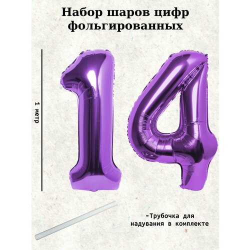 ���� ����� �����: ����� 14 ���, 100 ��, ������ ������